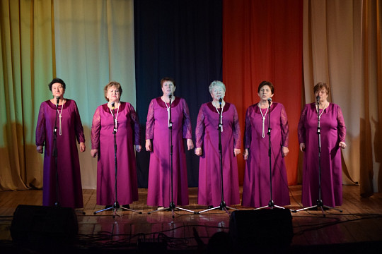 Итоги проекта «Местный дом культуры» подвели в Устье и Междуречье